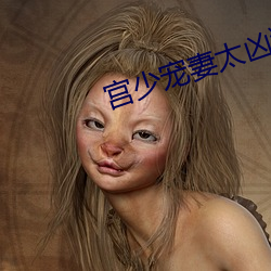 宫少宠妻太凶猛