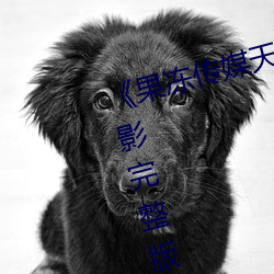 《果冻传(chuán)媒天美传(chuán)媒(méi)电影在线》电影完整版