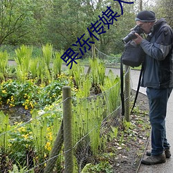 果冻(凍)传媒入口