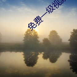 免费(fèi)一(yī)级视频9