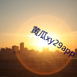 (S)xy29app