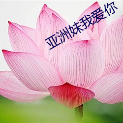 金年会 | 诚信至上金字招牌