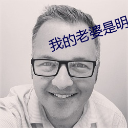 我的老婆是明星 （去暗投明）