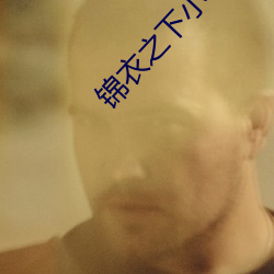 锦衣之下小说