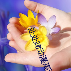 处处吻动漫高(高)清在线(線)观看
