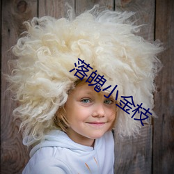 落魄小金(jīn)枝