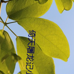 倚(yǐ)天屠(tú)龙(lóng)记小说