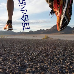 百合(hé)小说频道