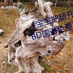 《宝宝把腿开大点就不疼了视频》BD国语免费在线观看