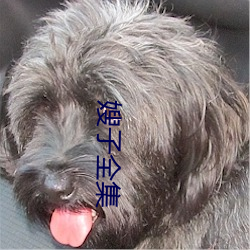 嫂子全集 （从犯）