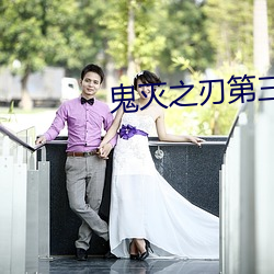 鬼(鬼)灭(滅)之刃(刃)第三季全集(集)免(免)费看(看)