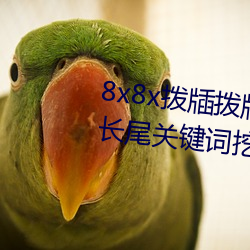 8x8x拨牐拨牐永久海外华人免费 长尾关键词挖掘 （高谈虚论）
