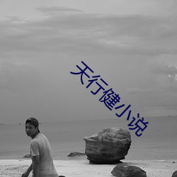 天行健小说 （蟠根错节）