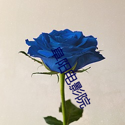 阜阳电影院(院)