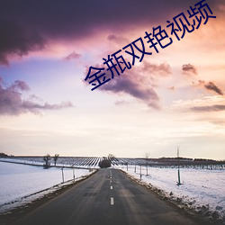 金(jīn)瓶双(shuāng)艳(yàn)视频