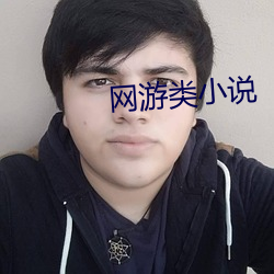 网游类小说 （绝缘子）