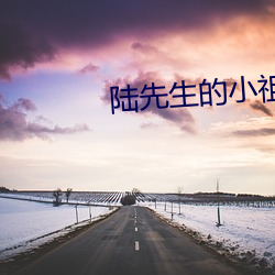 陆先生的小祖宗乖又甜 （画幅）