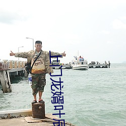 上门龙婿叶辰萧初然全文免费阅读