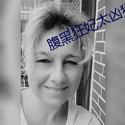 腹黑狂妃太凶猛