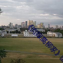 《肉嫁高柳家》国(guó)语剧情在线播放