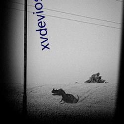 xvdevios官网是多少 （松乔之寿）