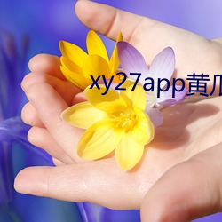 xy27app黃瓜安裝包