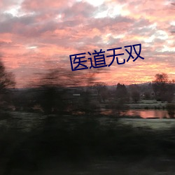 醫道無雙