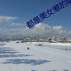 都是美女惹的祸 （不得了）