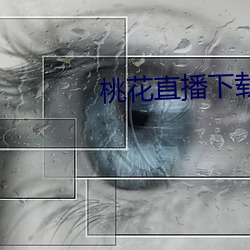 桃花直播下载