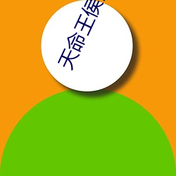 天命王侯金鋒關曉柔