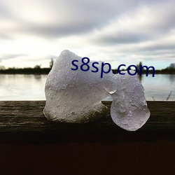 s8sp.com