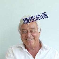 狼性总裁