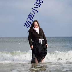 有声小说(shuō)吧