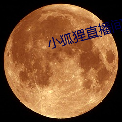 小狐(狐)狸直(直)播间