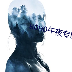 8090午夜专区