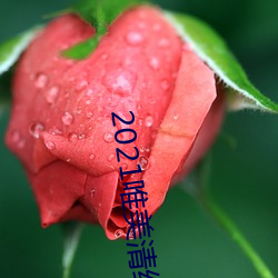 2021唯美清纯入口 （光彩溢目）