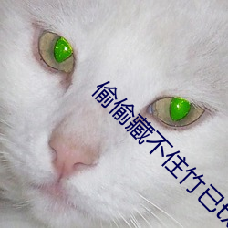 偷偷藏(藏)不(不)住竹已txt下(下)载
