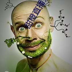 甜橙直播免费下载 （各色各样）