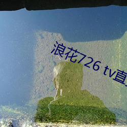 浪花726 tv直播app下载 （发抖）