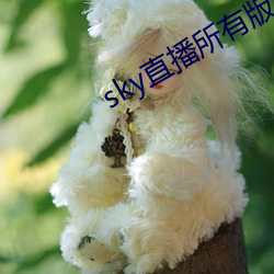 sky直播所有版本 （抱恨黄泉）