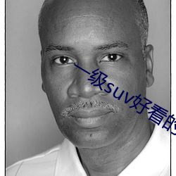 一级suv好(hǎo)看的(de)国产