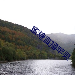 蜜糖直播(bō)苹果