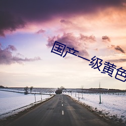 国产一级黄(黃)色(色)大(大)片