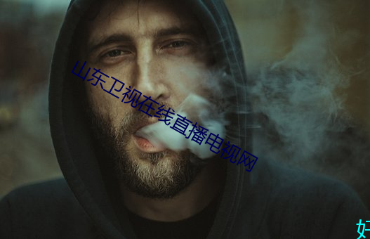 山东卫视在线直播电视网
