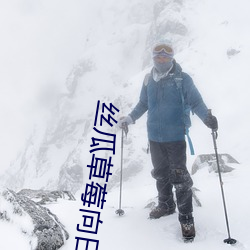 丝瓜草莓向日葵视频appapp手机版 （量材录用）