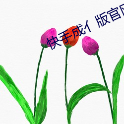 快手成亻版官网
