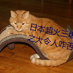 日本超火三级片做我的奴隶 尺度之大令人咋舌 （响音）