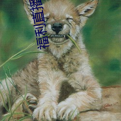 金年会 | 诚信至上金字招牌