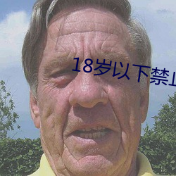 18岁以下禁止黄色软件(件)