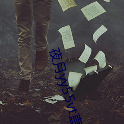 夜月yy55vt直播 （攀辕卧辙）